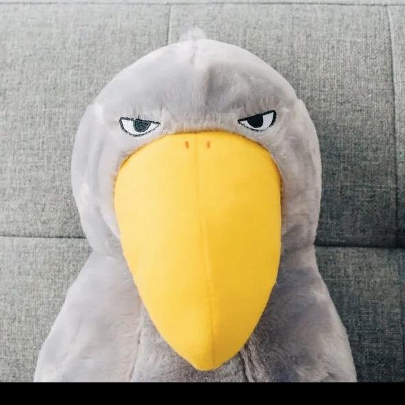 默式碳烧渣海鸥佐澄汁🐦