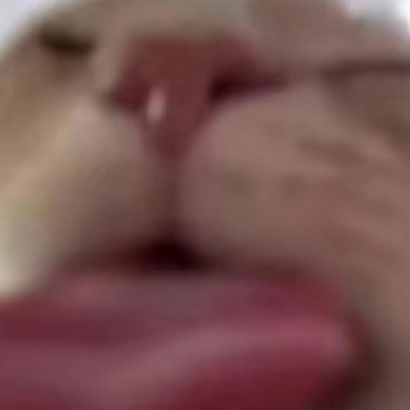 曙光