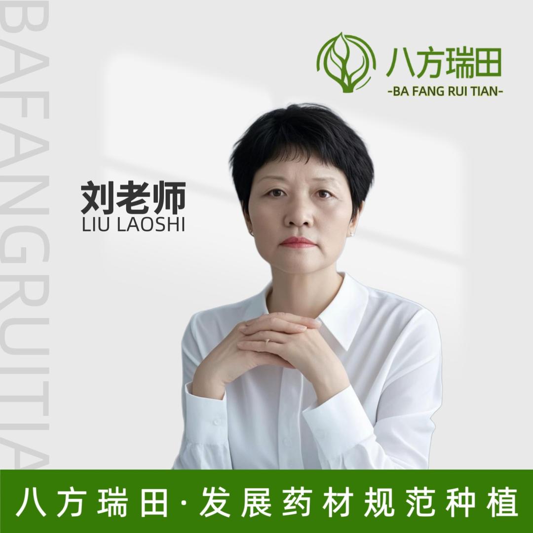 八方瑞田-刘老师