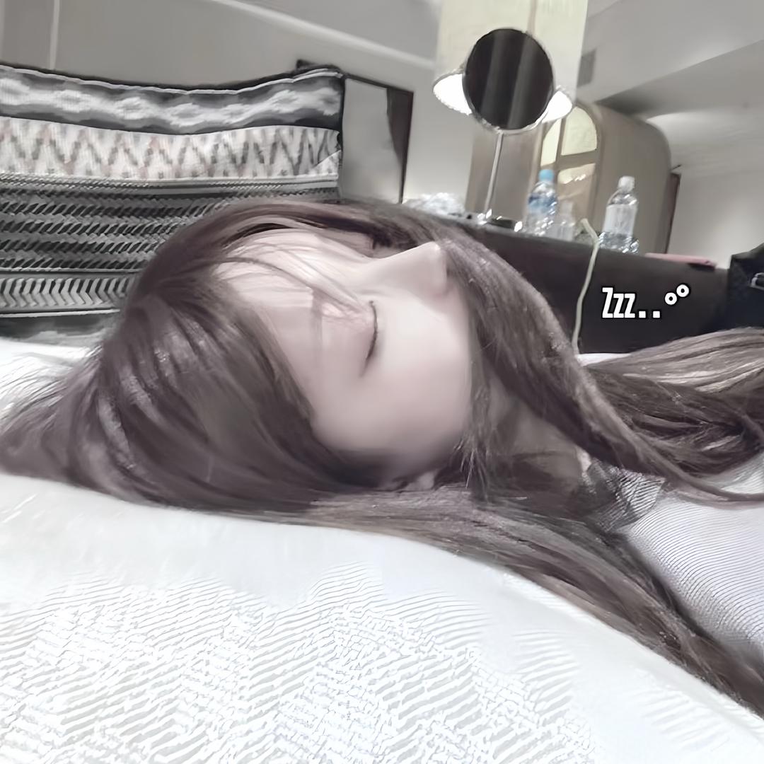 循页猫猫