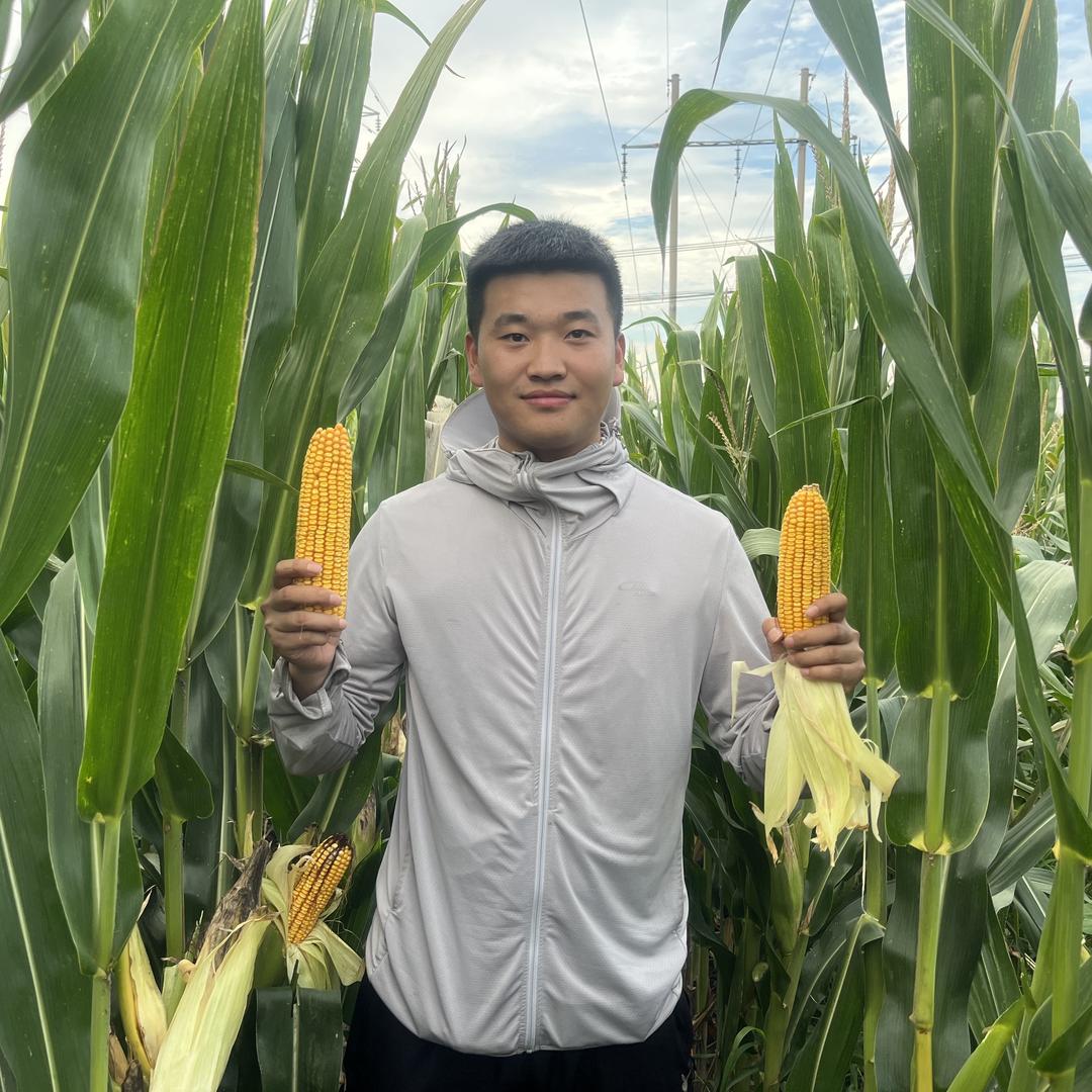 一亩泽田农资