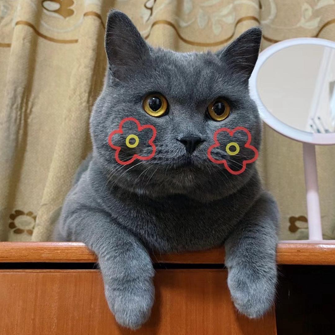 一个吨