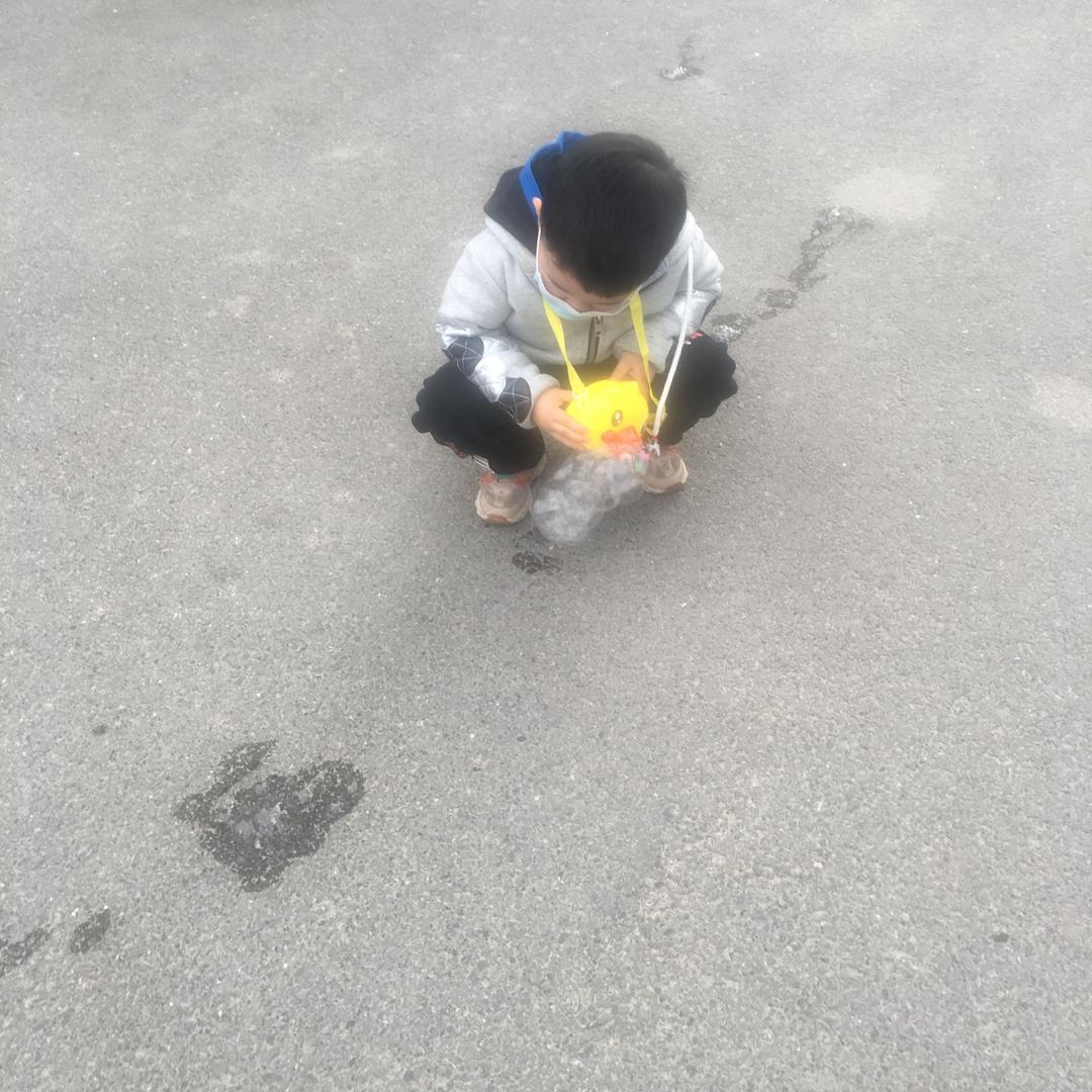 洋洋
