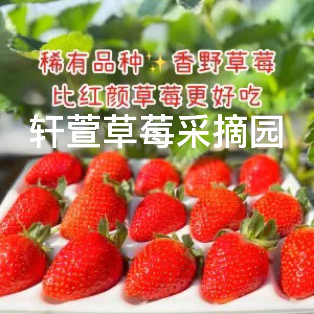 永年区轩萱水果种植园