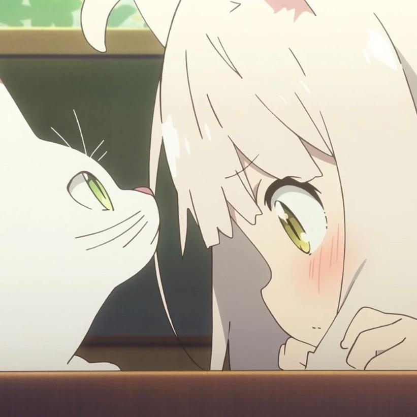 耶耶.