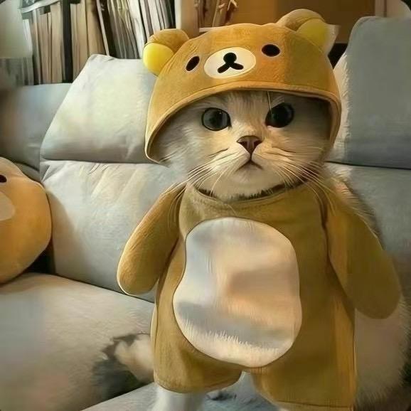 大狗子🐶（电-焊武帝）