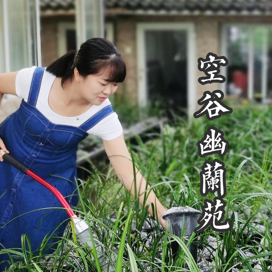 空谷幽兰苑（罗雅兰）