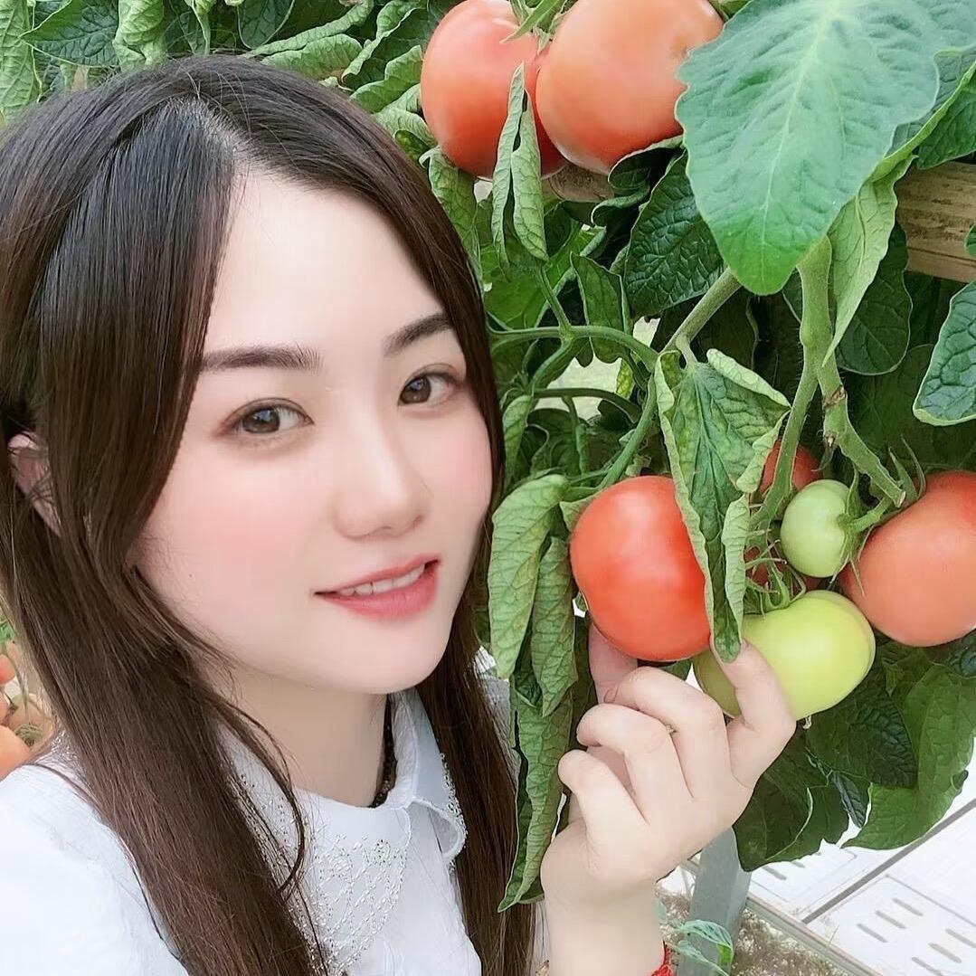 这有花手工日常（🉑邮）