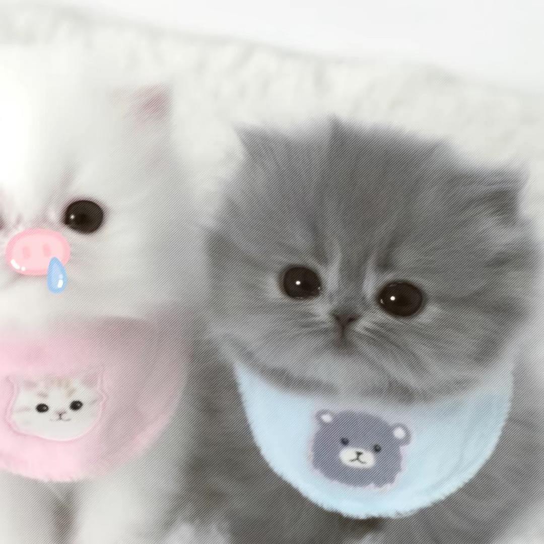 小心意