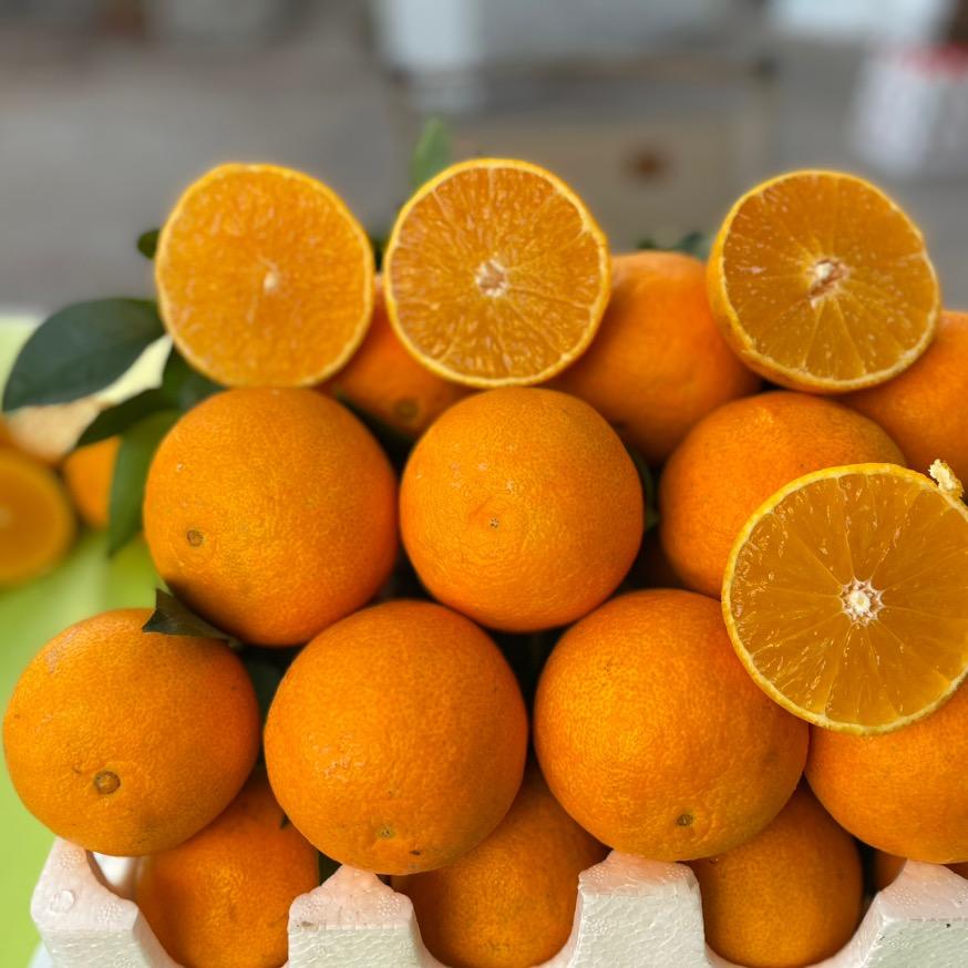 一果一度生鲜企业店