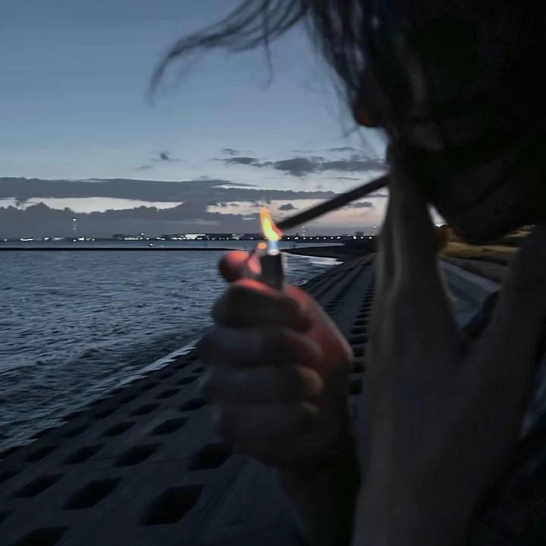爱喝纯牛奶