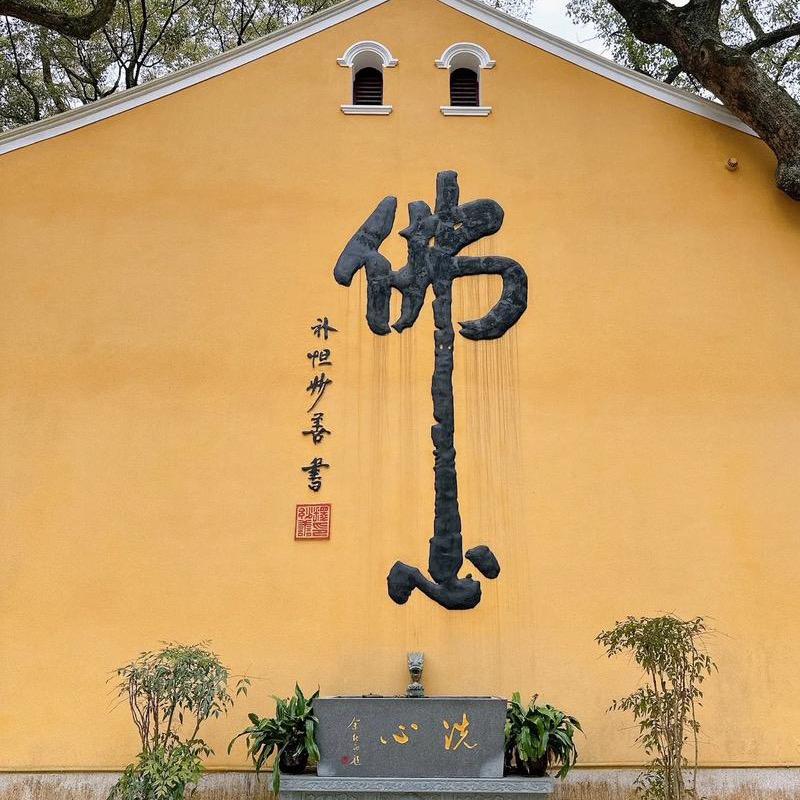 普陀山—無明法师的头像