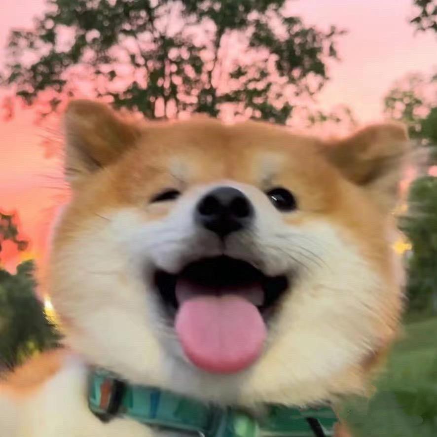 李壮壮壮