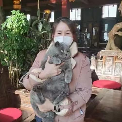 颖