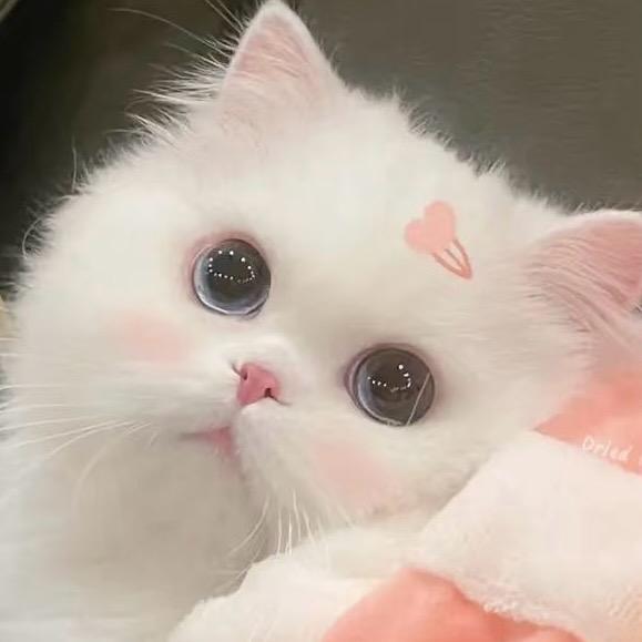木子吖🎀