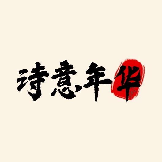 诗意年华