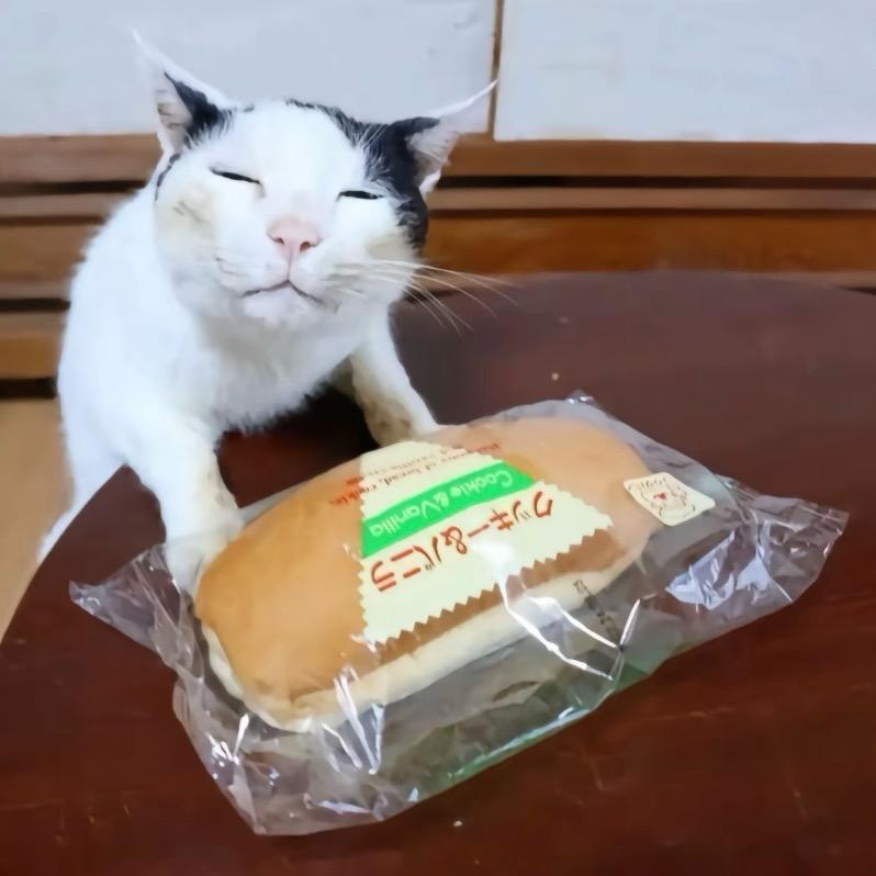 你吃面包吗？不吃给我吧