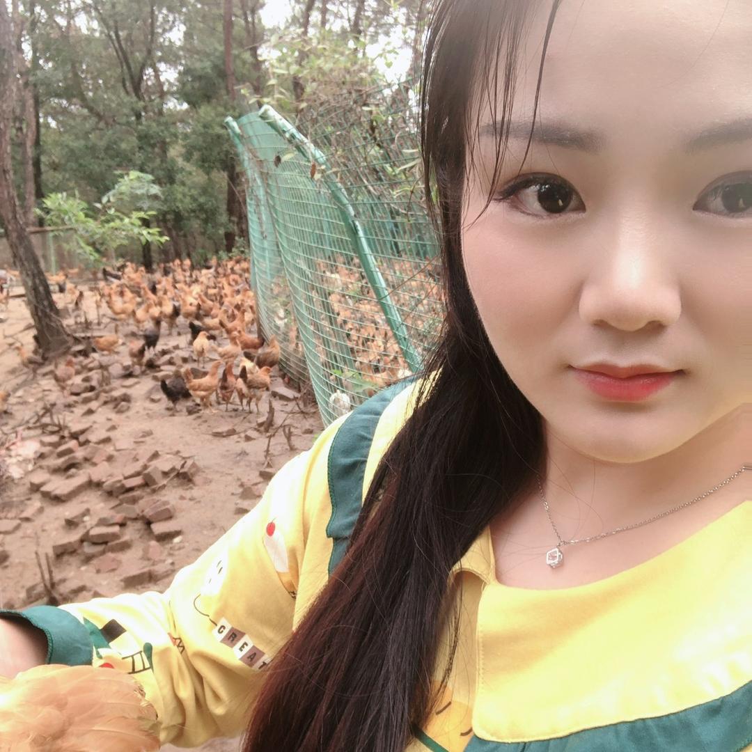 （兴盛家禽王丹）土鸡鸭鹅藤批发零售