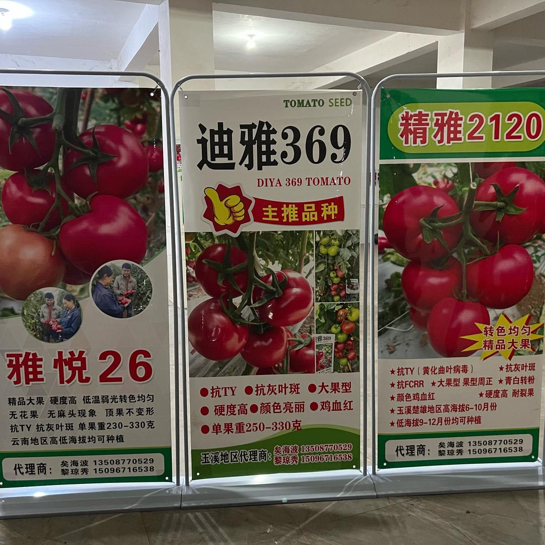 相遇