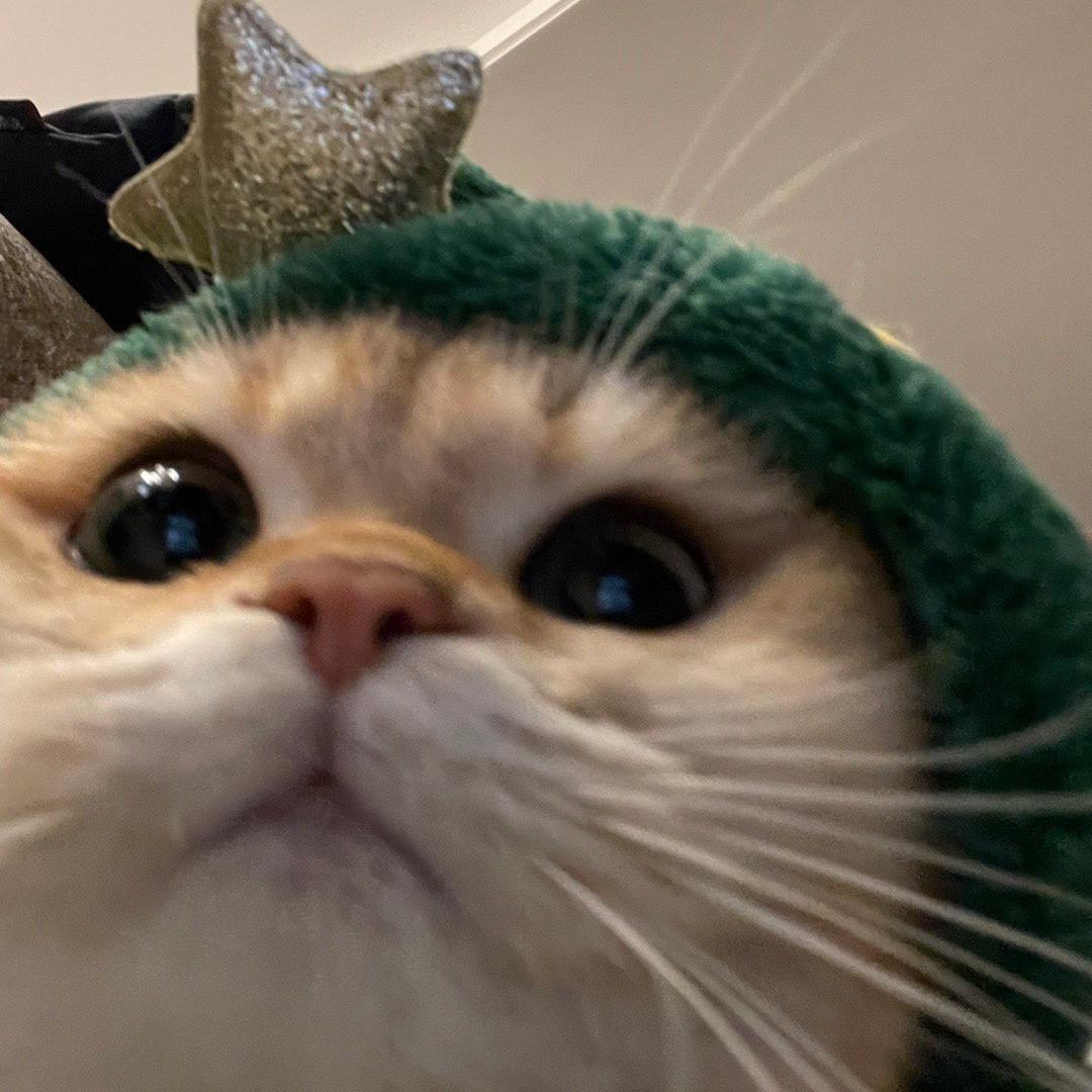 oooii