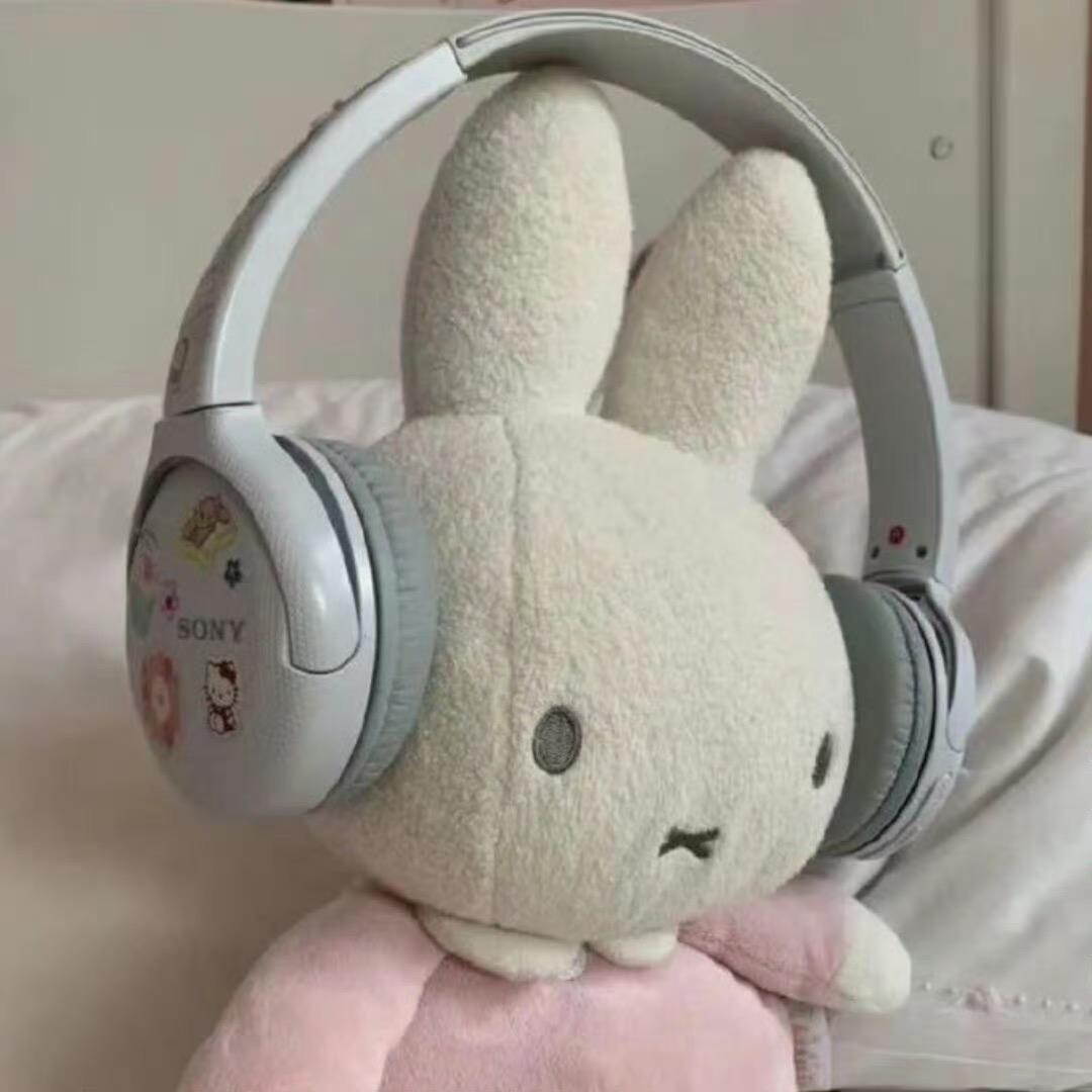 一只小兔🐰