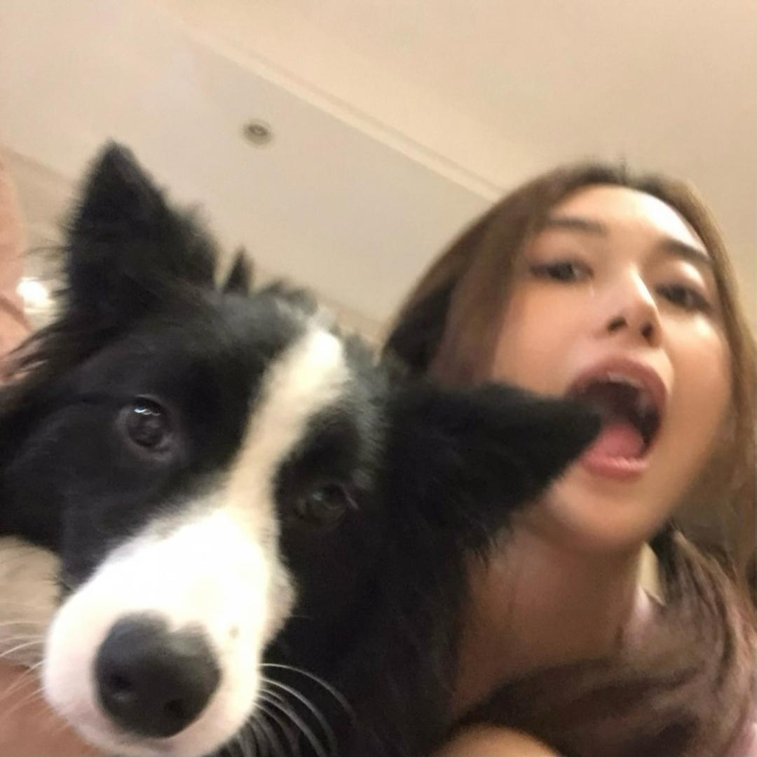 你也喜欢七七吗