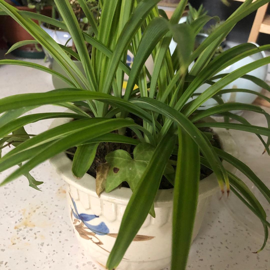 越来越多，一切都是最好的安排。