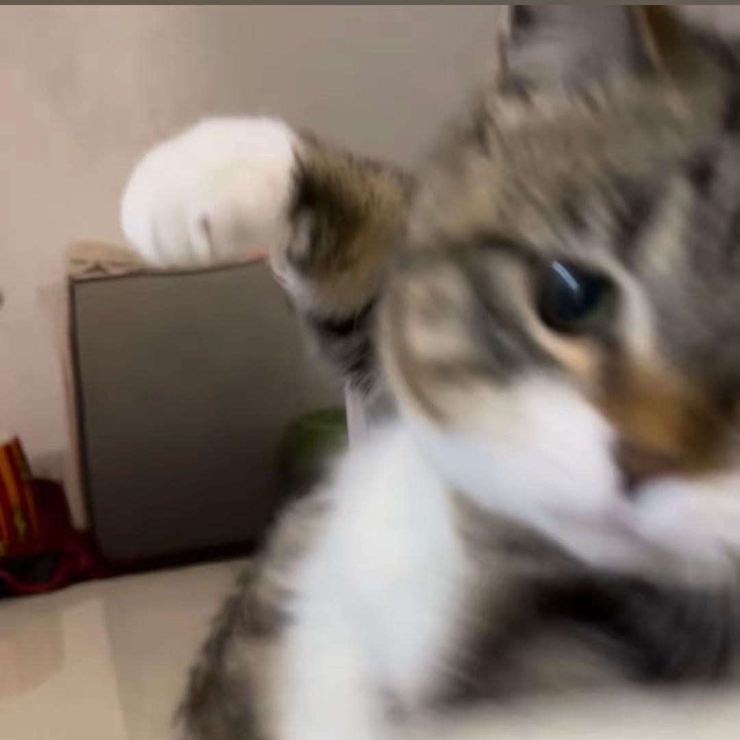 韩心