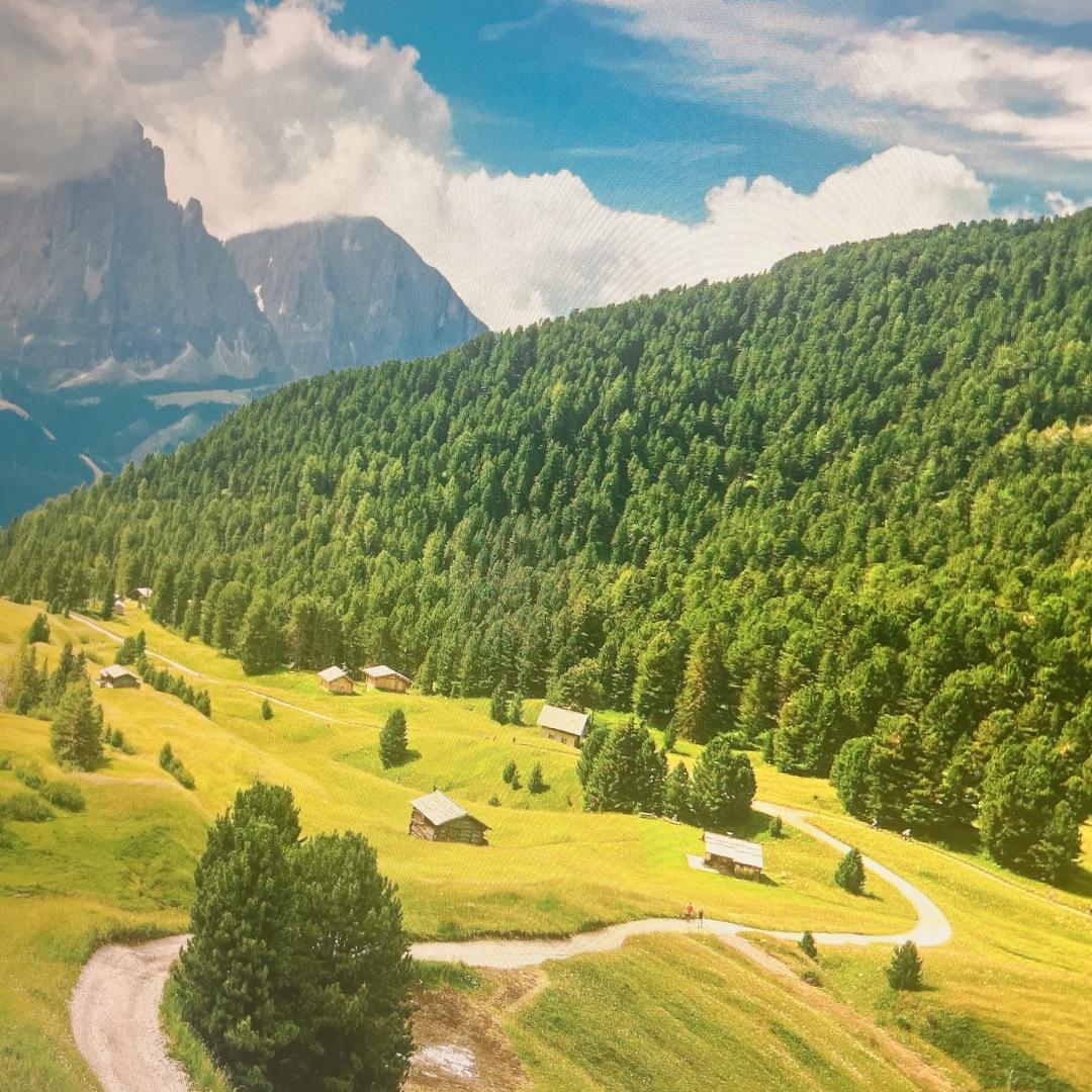 凡尘中的一粒尘埃