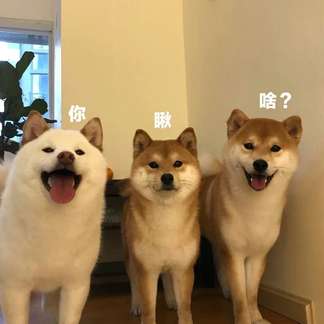 XIAO熊
