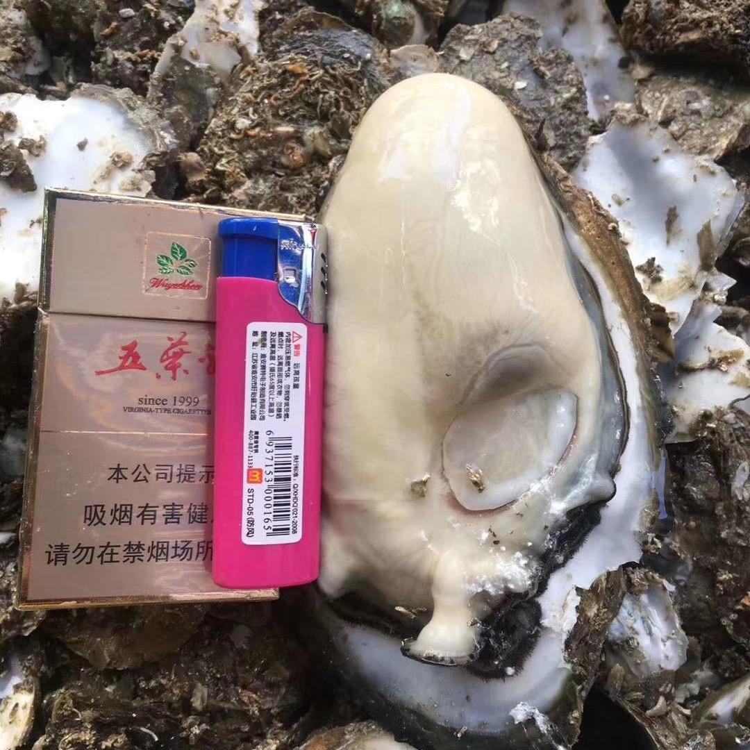 🌬有💨缘🌪有🌊份🌧
