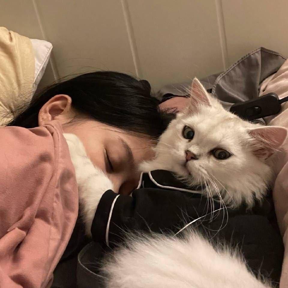 妮妮