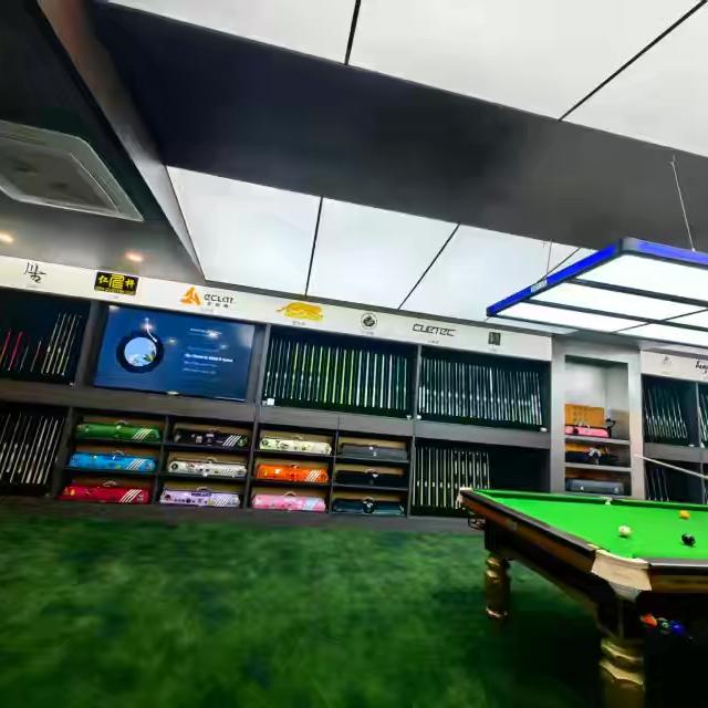 齐市鼎峰台球器材