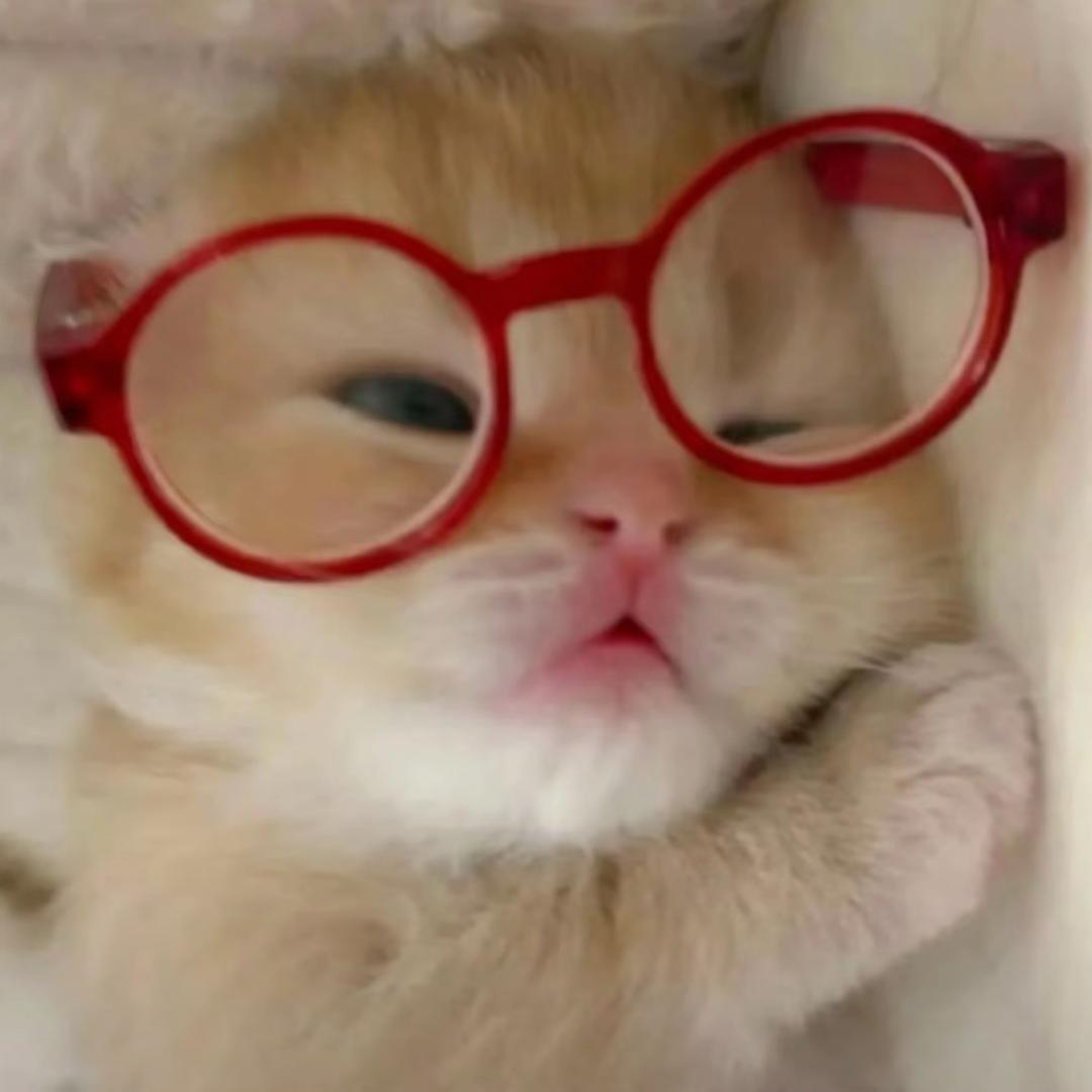 马里奥