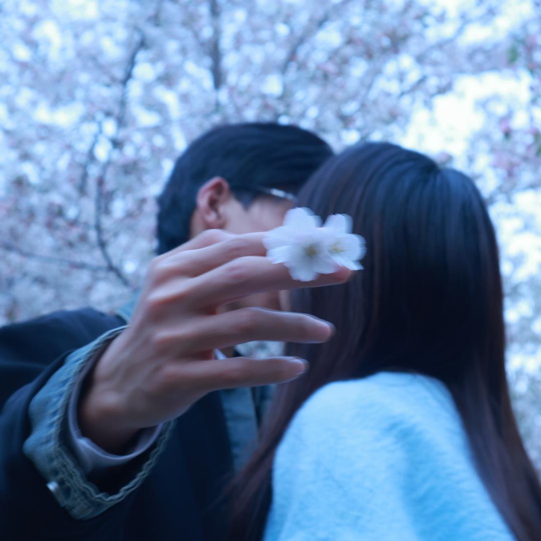 天之饺子🥟