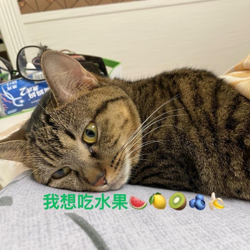 最爱剥柚子