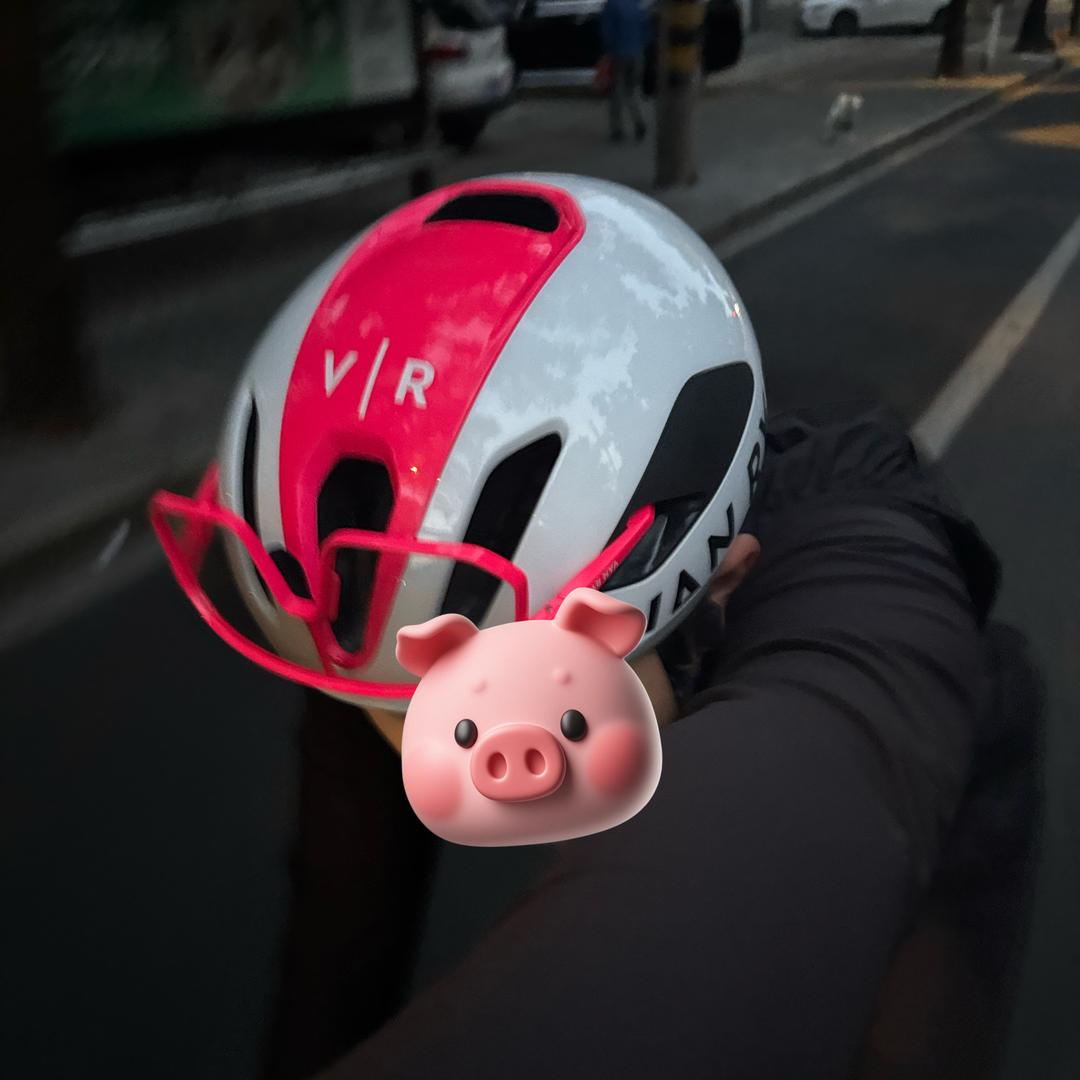 小猪