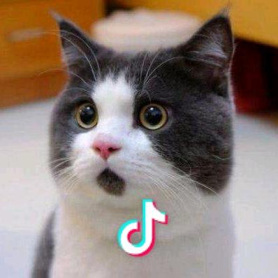 烦人精ヽ(‘⌒´メ)ノ