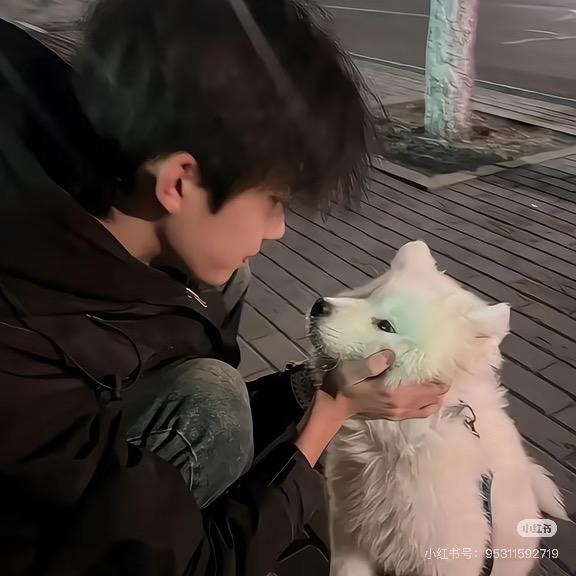 你的好邻居            🕷️