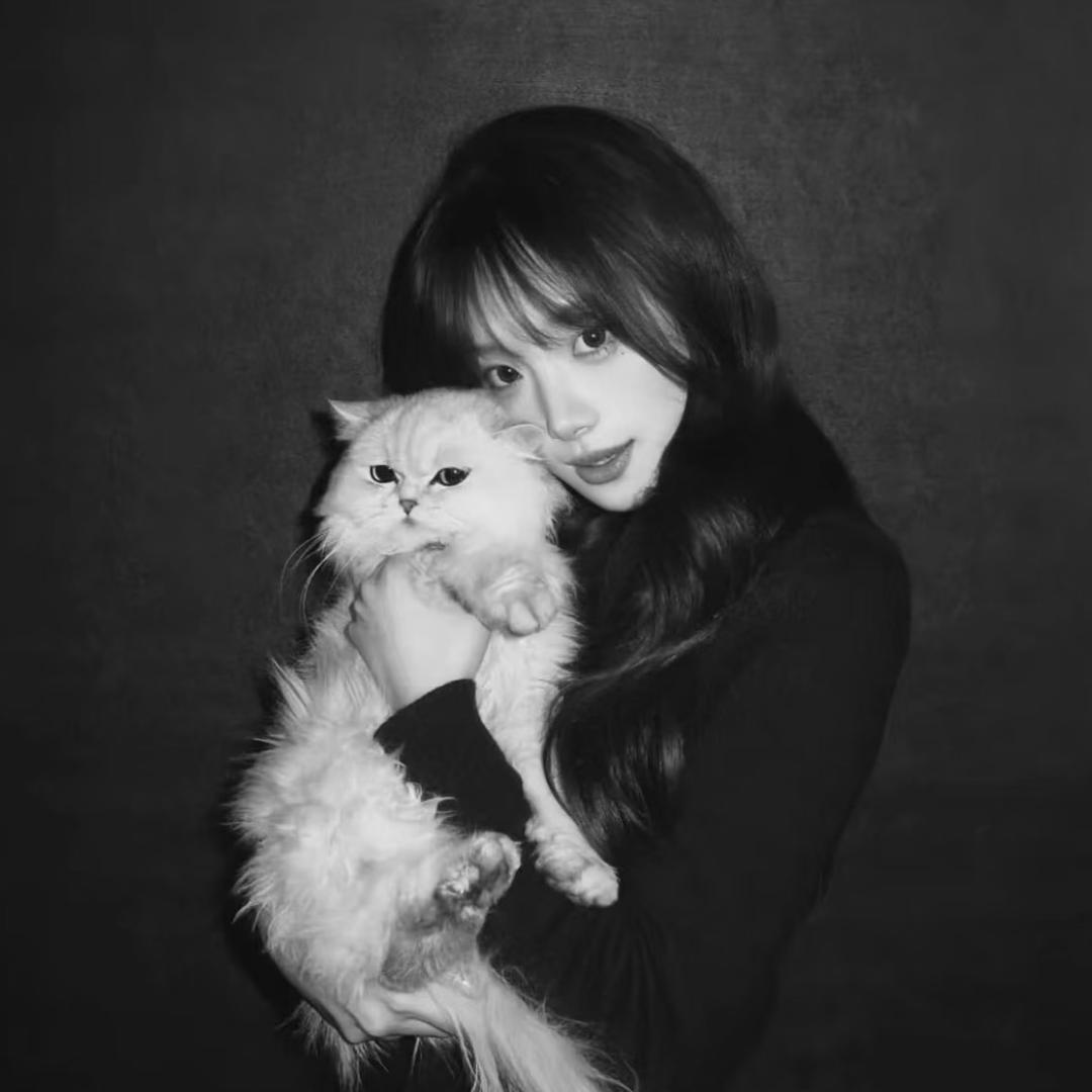 爱妻张馨冉