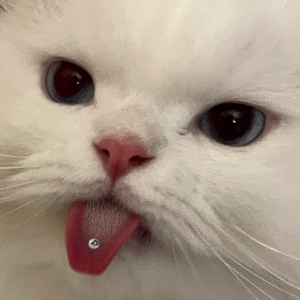 又又欠欠