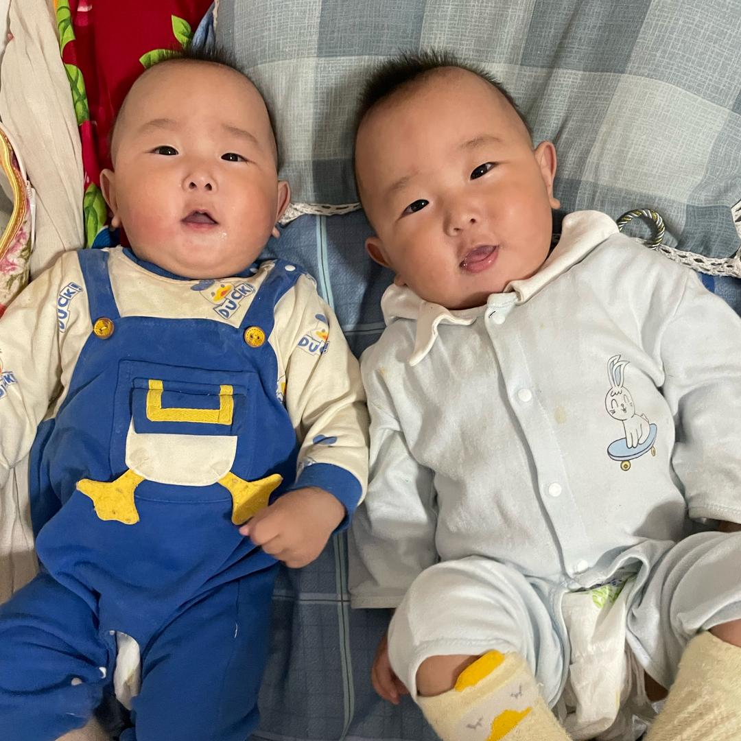 纤羽 🐲🐲纤奕