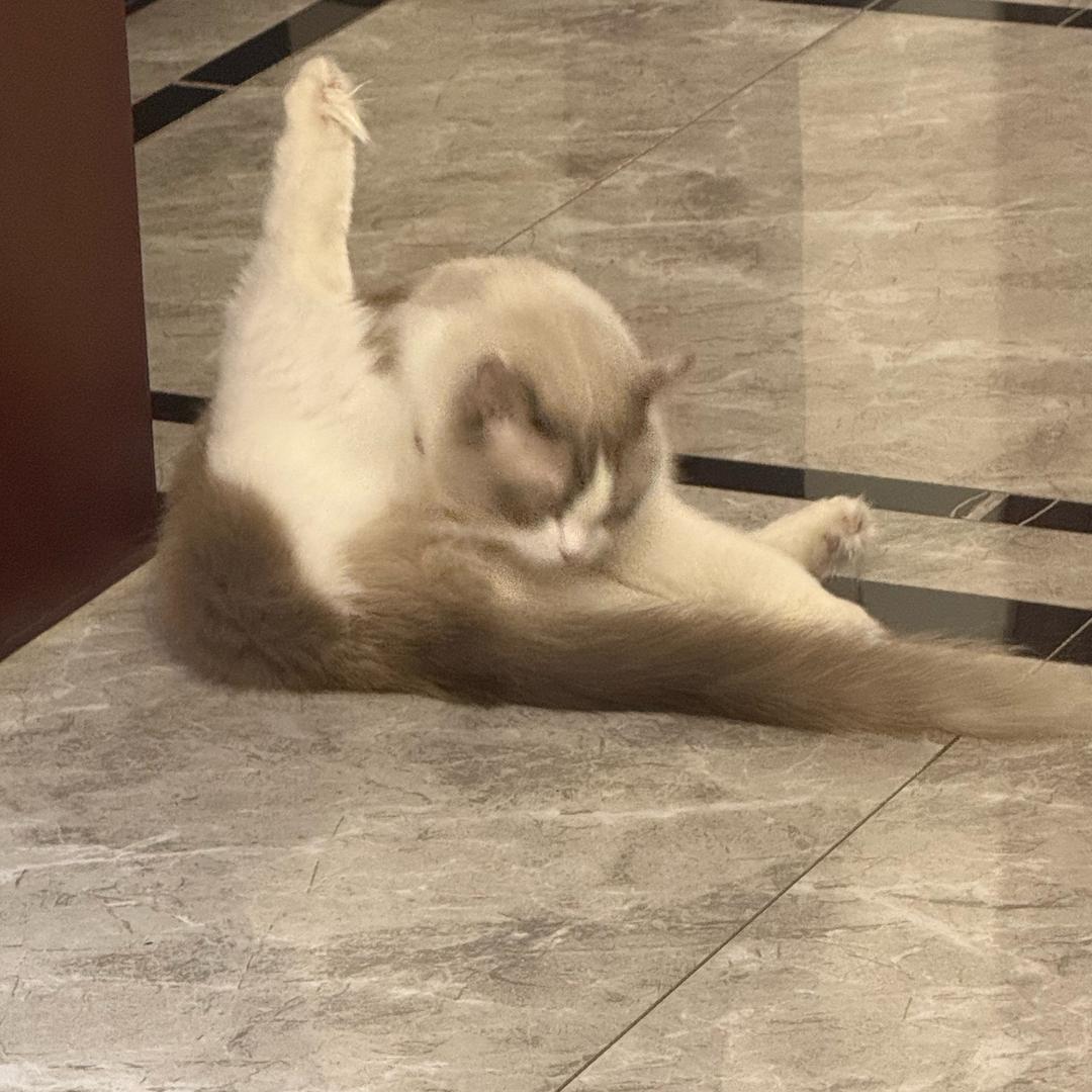 北辰情感咨询