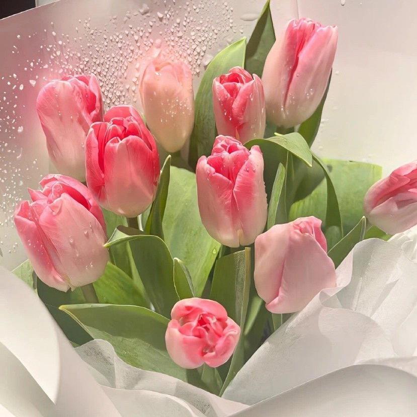 触及真心（线上出物版）