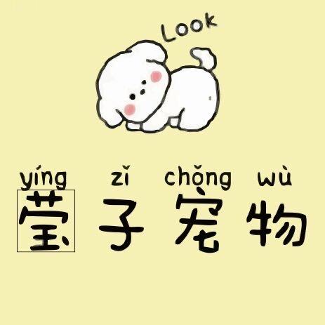 莹子宠物生活馆
