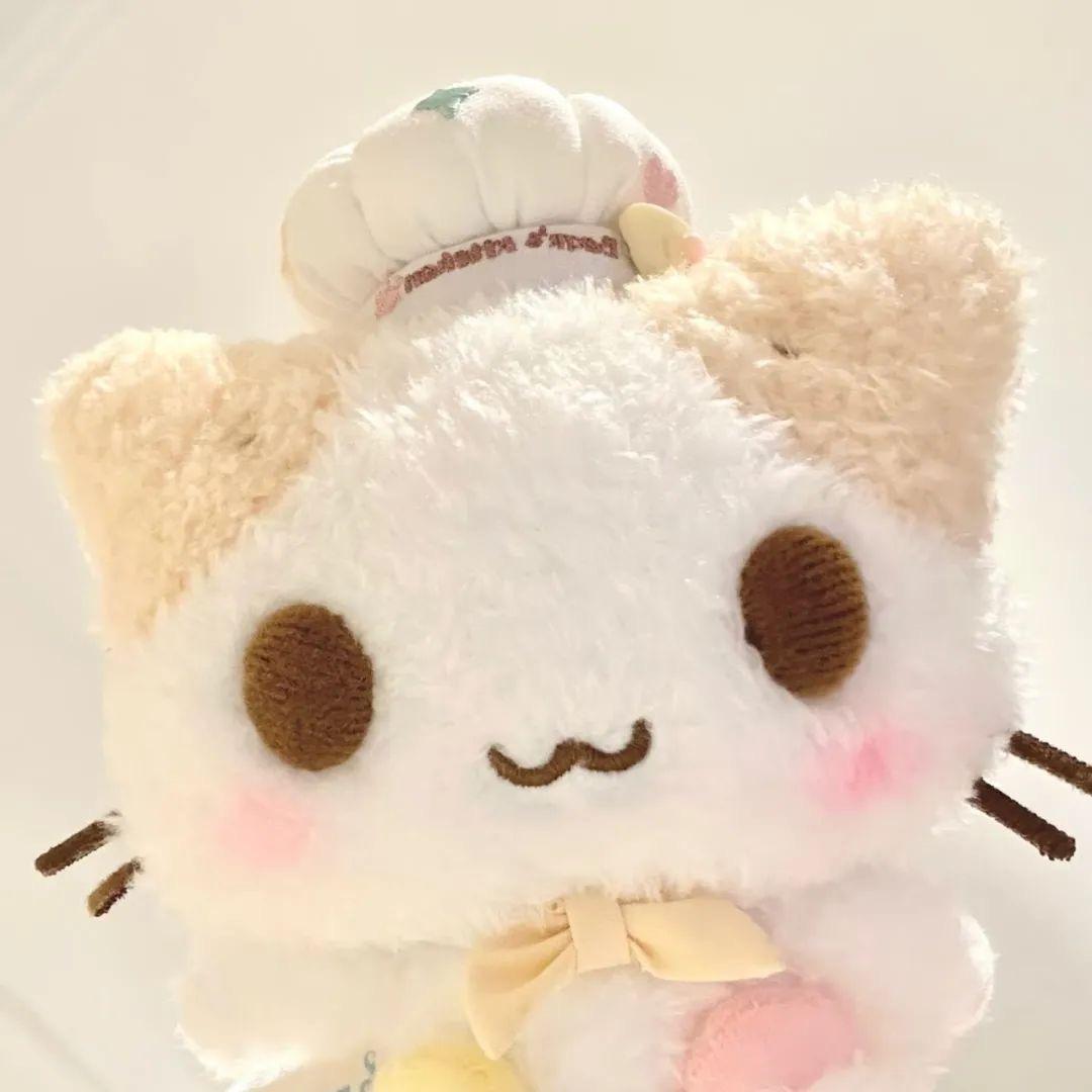 泡芙花猫吹泡泡🫧
