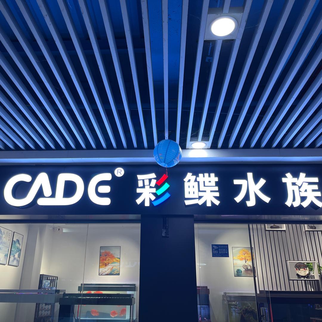 百艺城彩鲽水族