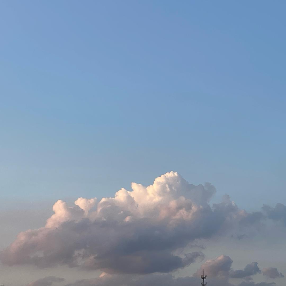 晓