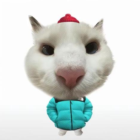 菠萝吹雪  ￴  ￴ ￴ ￴￴