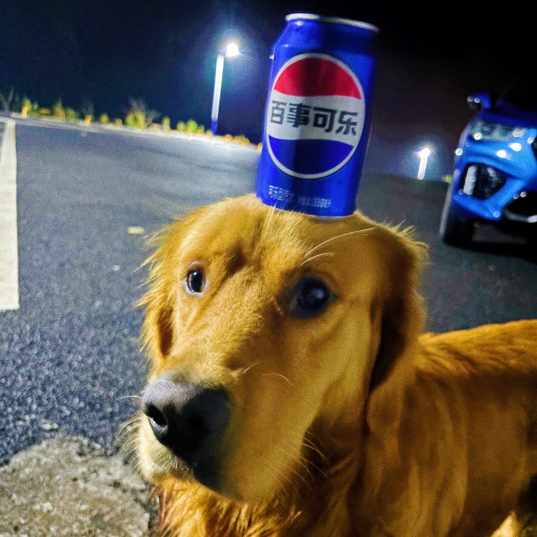 元旦爹